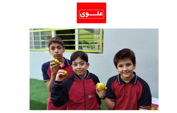 میان وعده 2