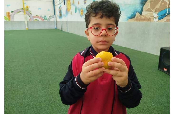 میان وعده 2