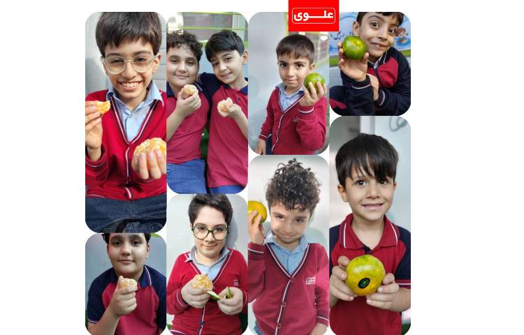 میان وعده 2