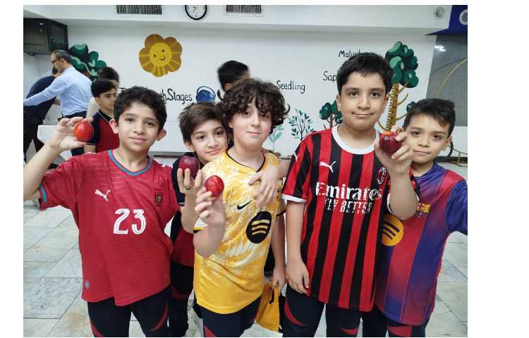 میان وعده 3