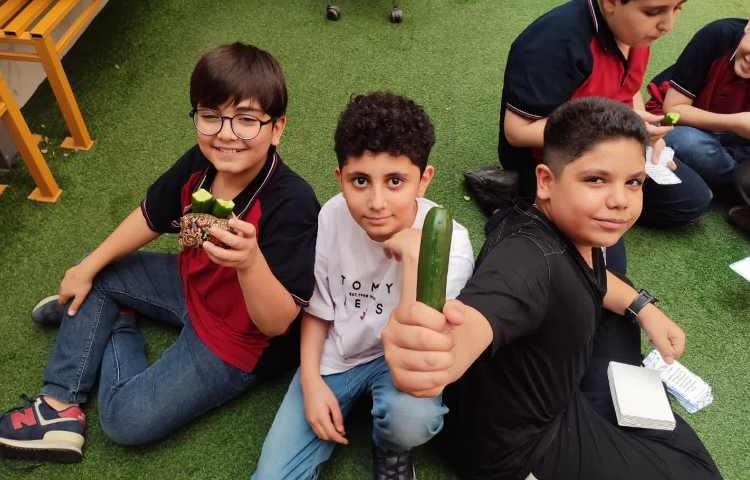 میان وعده 3