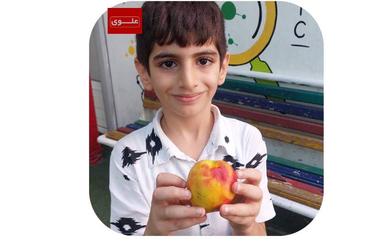 میان وعده 3