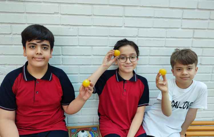 میان وعده 3