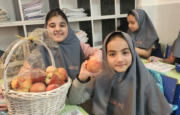 میان وعده 3