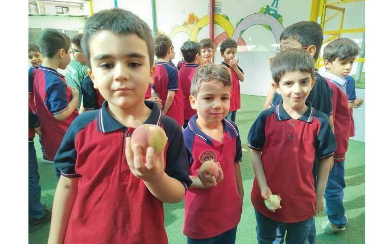 میان وعده 3