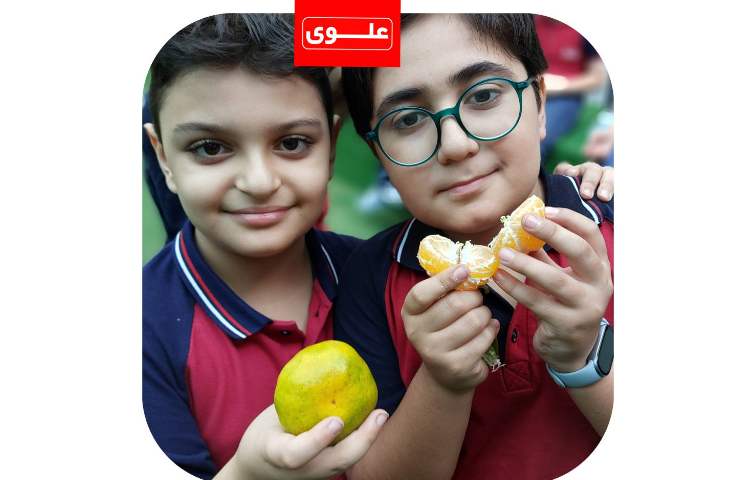 میان وعده 3