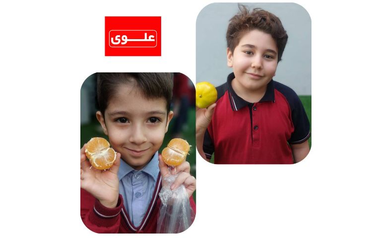 میان وعده 3
