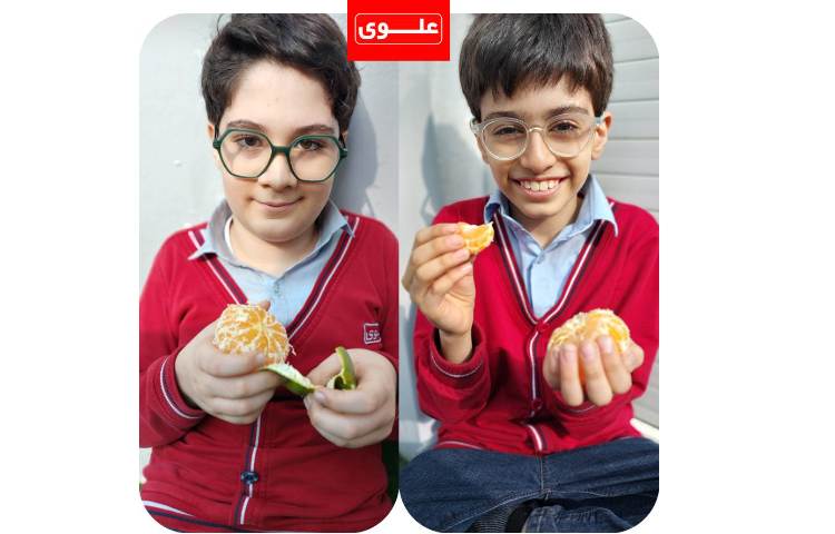 میان وعده 3