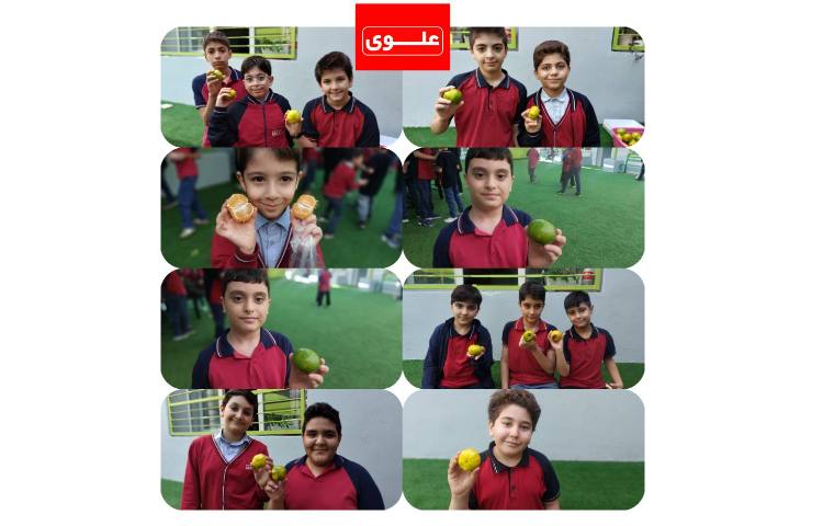 میان وعده 3