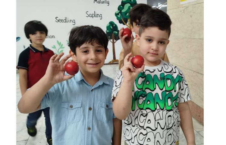 میان وعده 4