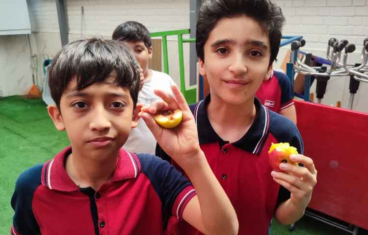 میان وعده 4