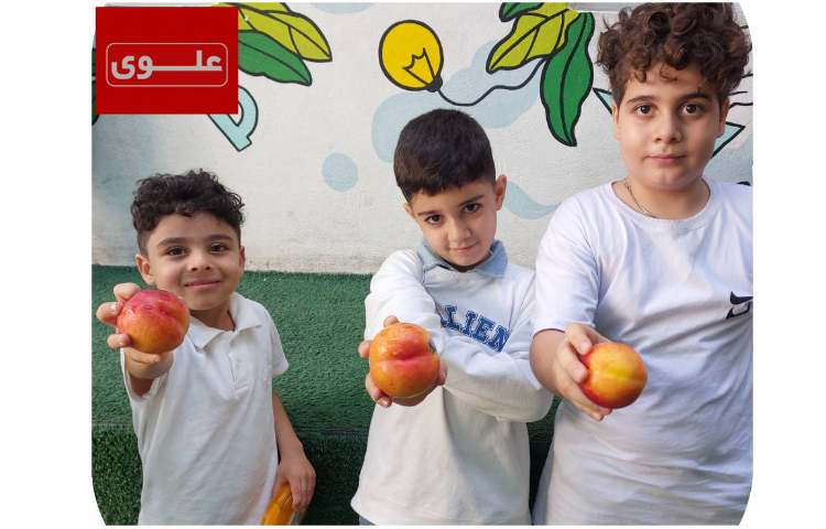 میان وعده 4