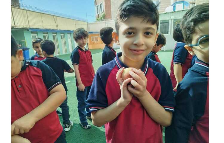 میان وعده 4
