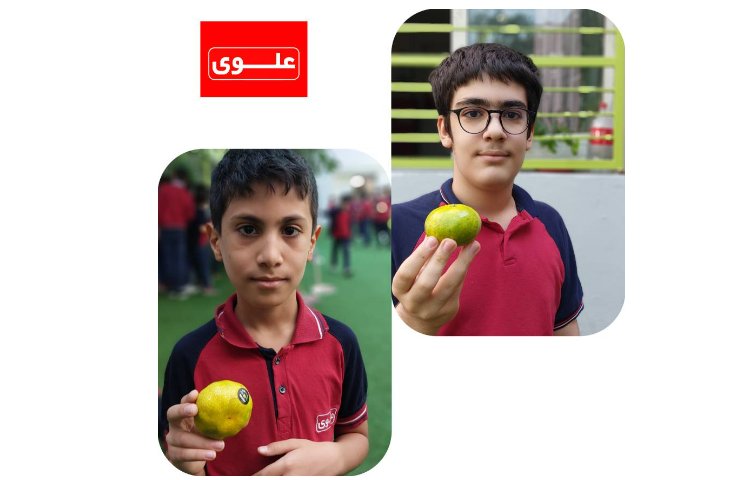 میان وعده 4