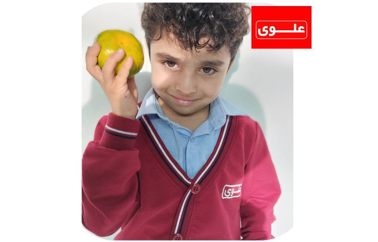 میان وعده 4