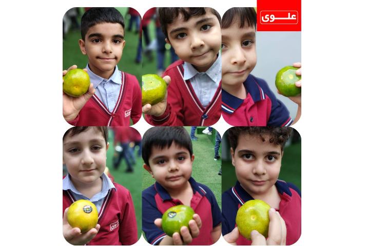 میان وعده 4