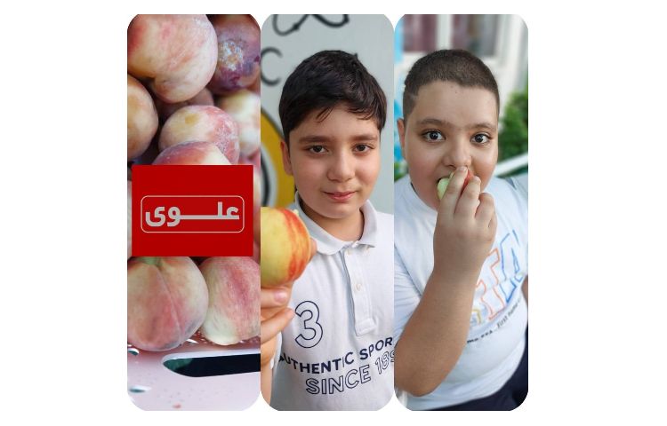 میان وعده 5