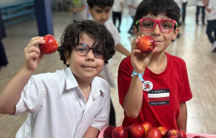میان وعده 6