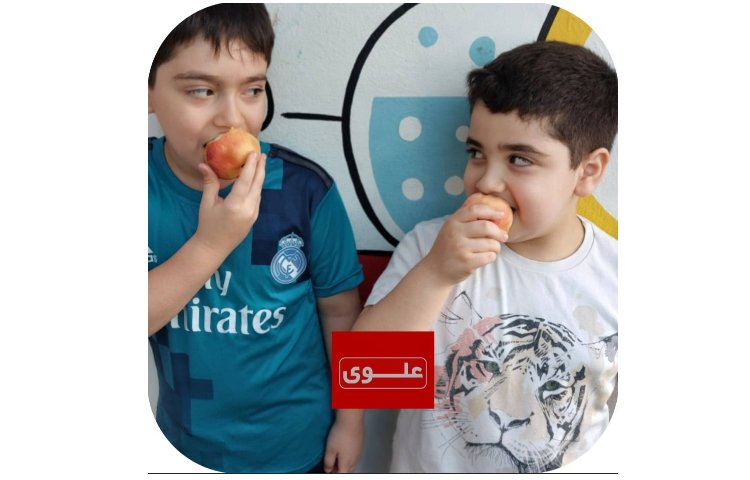 میان وعده 6