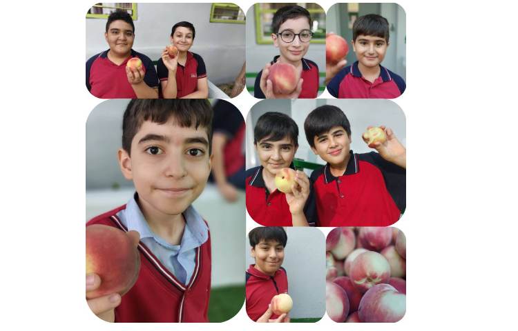 میان وعده 7
