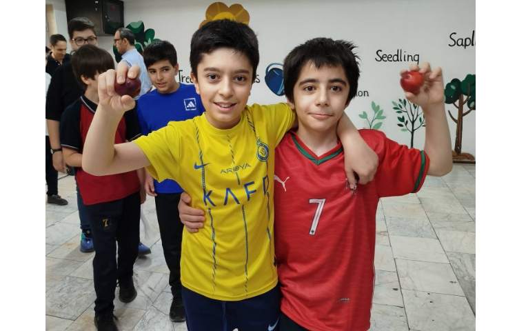 میان وعده 9