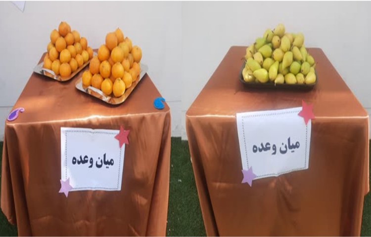 میان وعده