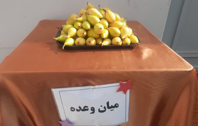 میان وعده