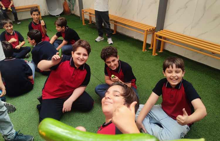 میان وعده