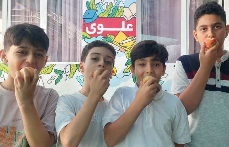 میان وعده