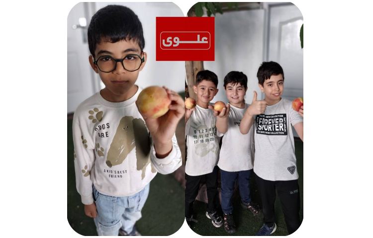 میان وعده