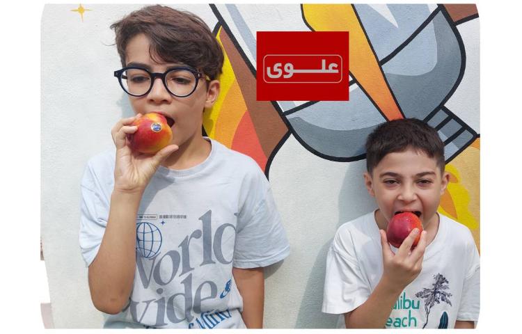 میان وعده
