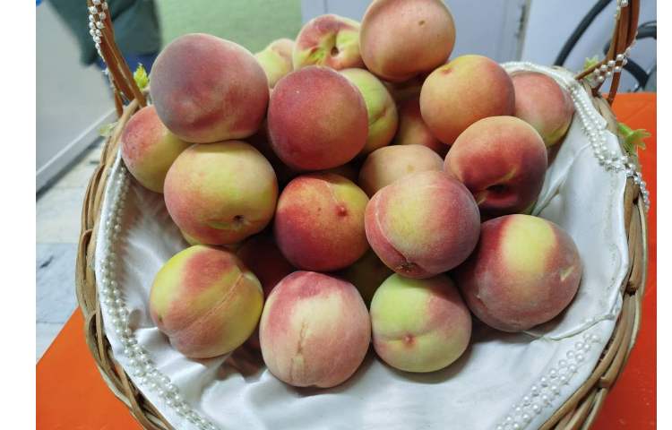 میان وعده