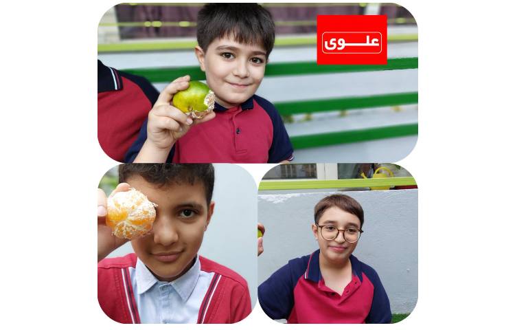 میان وعده