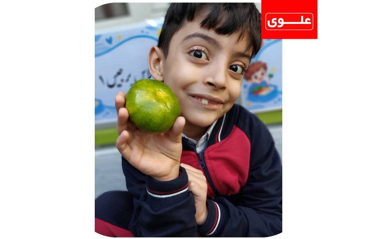 میان وعده
