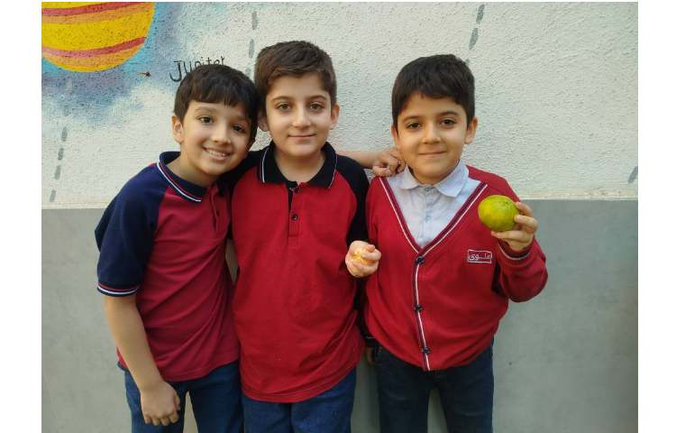میان وعده