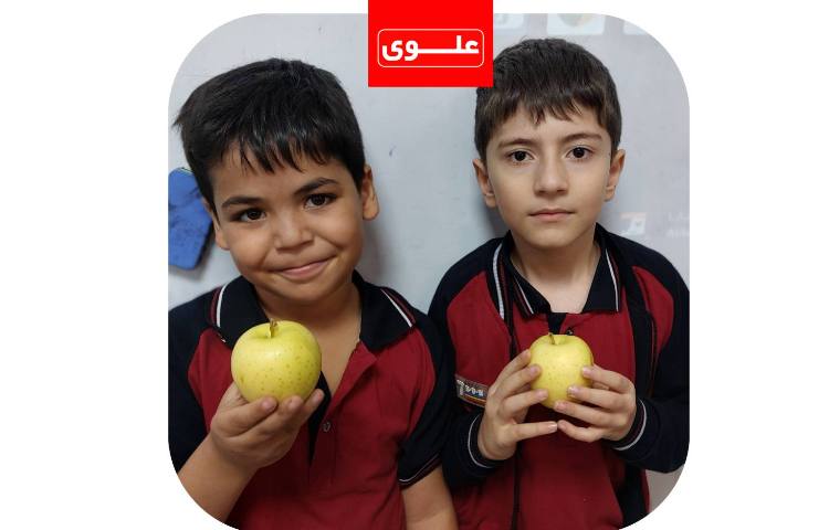 میان وعده