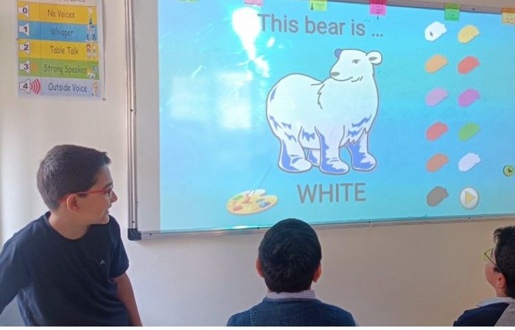 میوه ها و رنگ ها 1