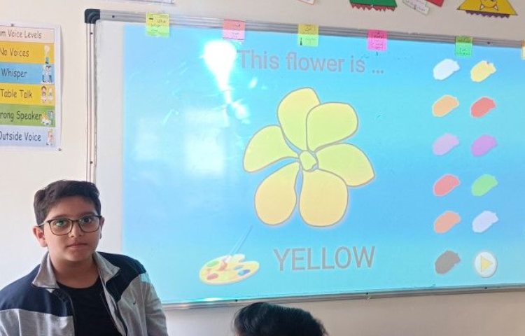 میوه ها و رنگ ها 2