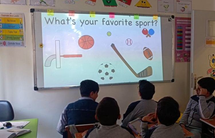 میوه ها و رنگ ها 3