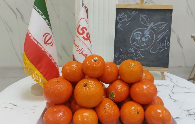 میوه پاییزی 1