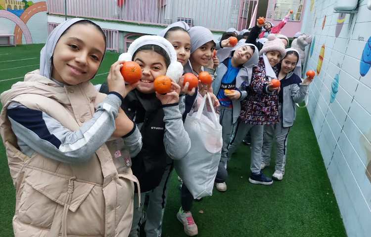 میوه پاییزی 2