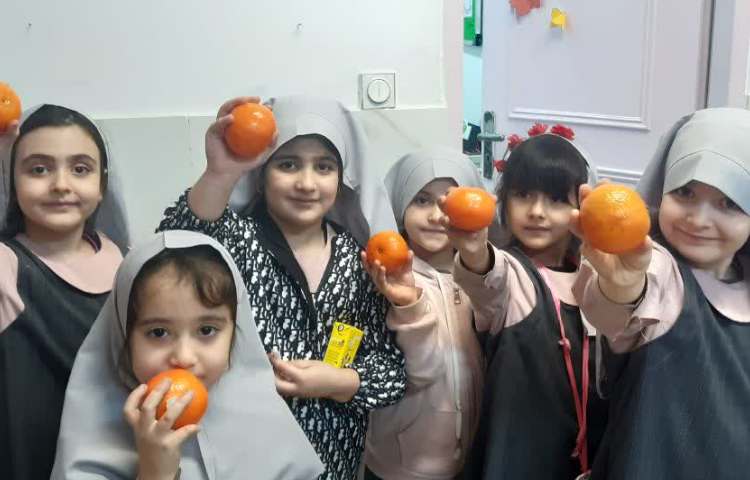 میوه پاییزی 3