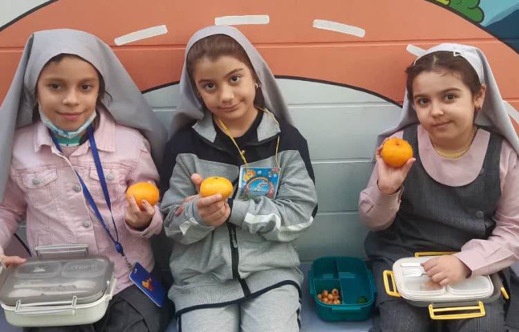 نارنگی خوشمزه 2