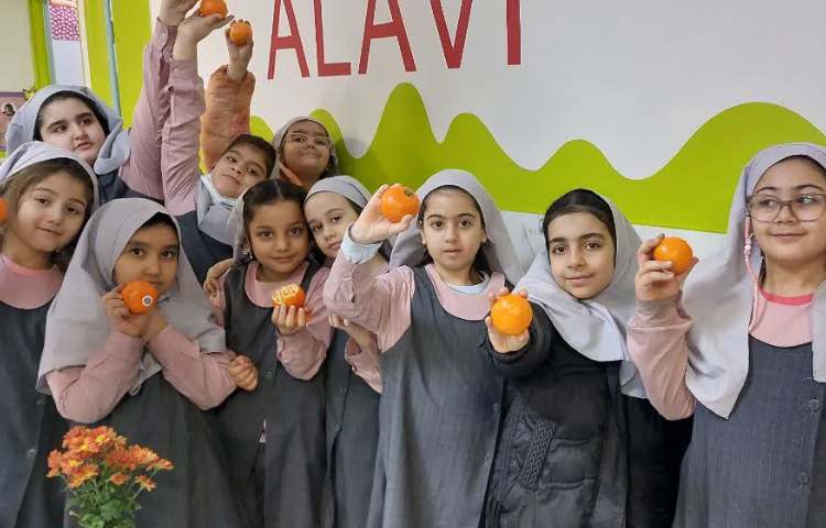 نارنگی خوشمزه 2