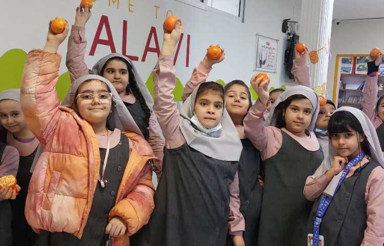 نارنگی خوشمزه 3