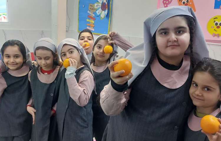 نارنگی خوشمزه 3