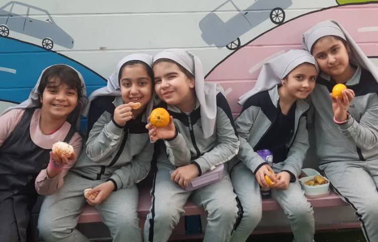 نارنگی خوشمزه 4