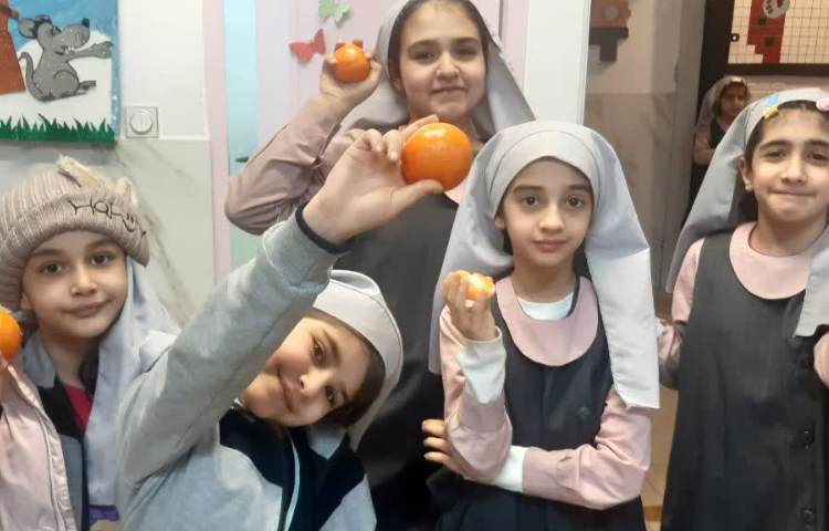 نارنگی خوشمزه 4