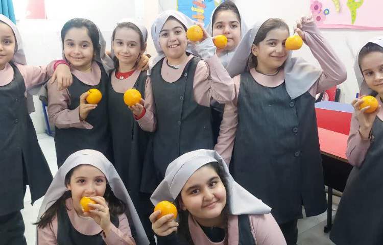 نارنگی خوشمزه 4