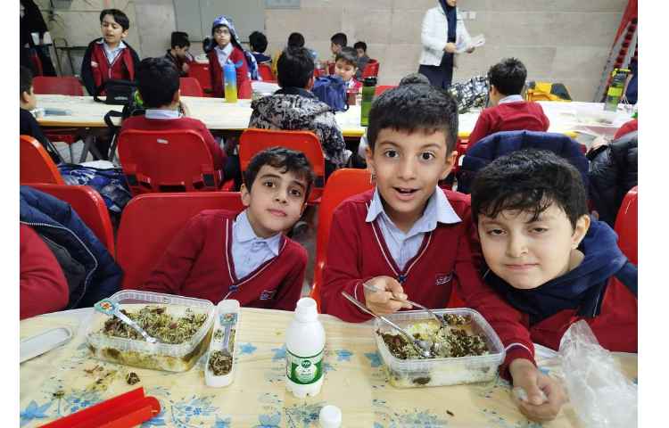 ناهارخوری 5